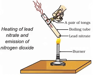 NCERT Based Activity : Chemical Reactions and Equations | Science Class 10