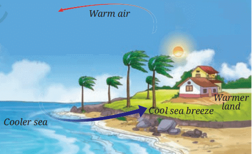 Heat Transfer in Nature Class 7 Notes Science Chapter 7 Free PDF