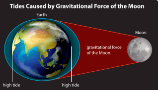 Class 5 Science - Earth and its Natural Satellites - CBSE Worksheets Solutions - 1