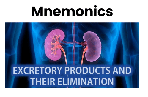Mnemonics: Excretory Products & their Elimination | Biology Class 11 - NEET