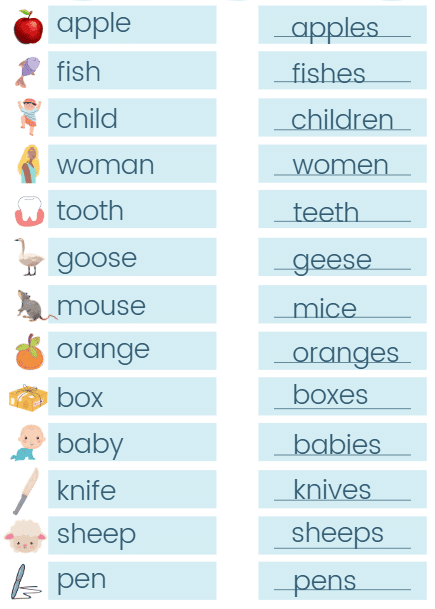 Worksheet Solutions: Singular Plural - 1 | English for LKG