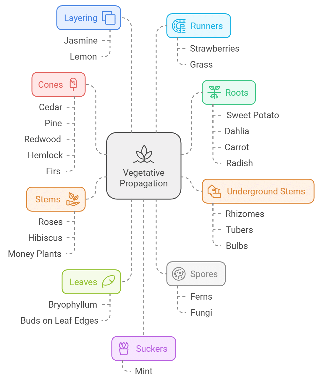 Plant Life Chapter Notes | Science Class 5