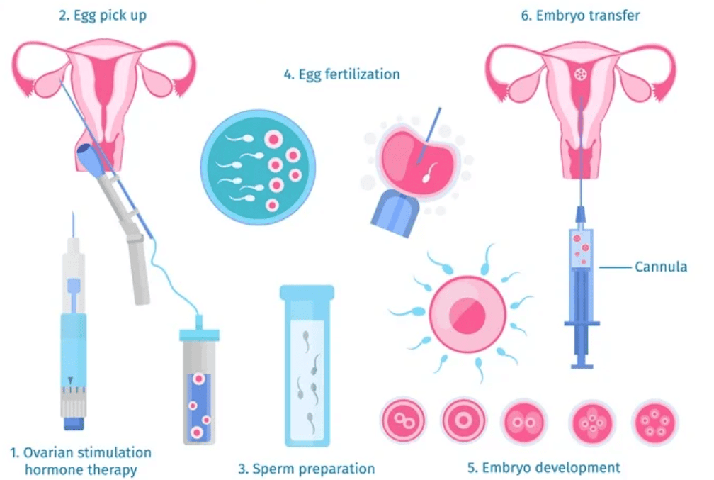 Reproductive Health Chapter Notes | Biology Class 12 - NEET