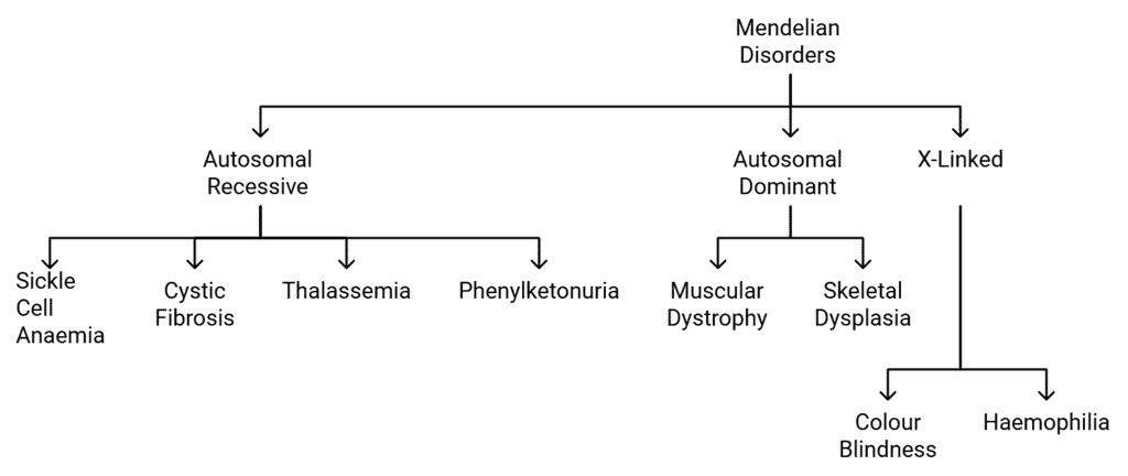 Examples of Mendelian Disorders