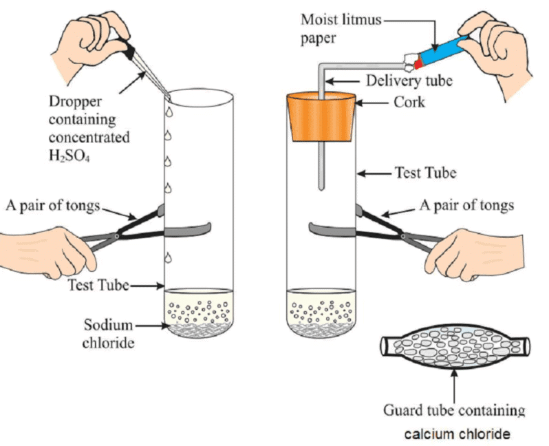 NCERT Based Activity : Acid, Bases and Salts | Science Class 10