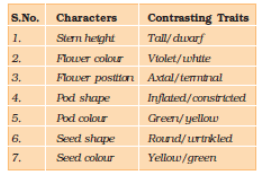 Contrasting Traits Studied by Mendel in Pea