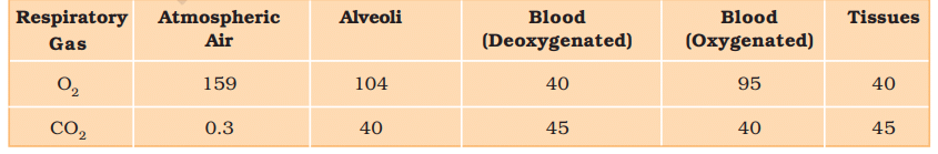 Important Diagrams: Breathing and Exchange of gases | Biology Class 11 - NEET