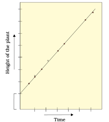 Growth & its Phases, Rates, Conditions, Processes | Biology Class 11 - NEET