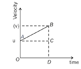 Unit Test (Solutions): Motion