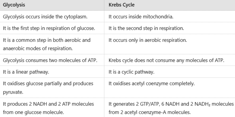 NCERT Solutions Class 11 Biology Chapter 14 - Respiration in Plants
