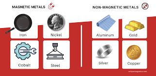 Unit Test(Solutions): Exploring Magnets | Science for Class 6