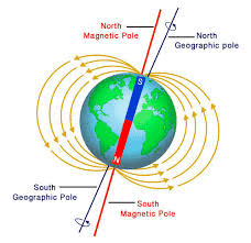 Unit Test(Solutions): Exploring Magnets | Science for Class 6