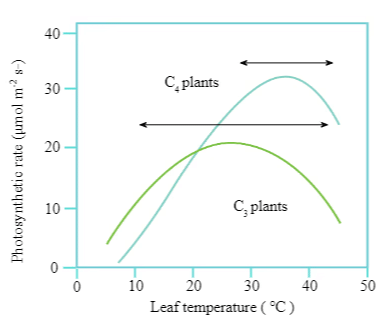 Photosynthesis: Early Experiments & Factors affecting | Biology Class 11 - NEET