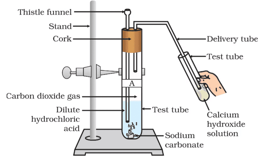 NCERT Based Activity : Acid, Bases and Salts | Science Class 10