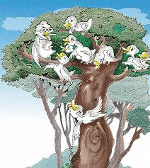 Flying Together Class 5 Notes English Marigold