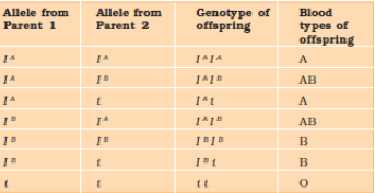 Table Showing the Genetic Basis of Blood Groups in Human Population