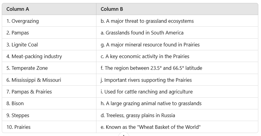 The Temperate Grasslands: Prairies - 2 Class 5 Worksheet SST