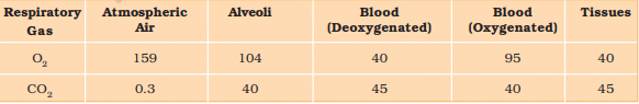 Partial Pressures (in mm Hg) of Oxygen and Carbon dioxide at Different Parts Involved in Diffusion in Comparison to those in Atmosphere