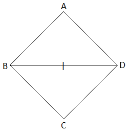Unit Test(Solutions): Understanding Quadrilaterals | Mathematics (Maths) Class 8