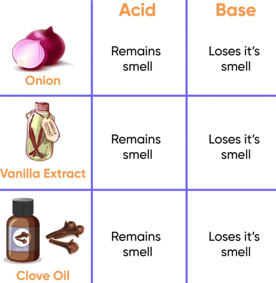 NCERT Based Activity : Acid, Bases and Salts | Science Class 10