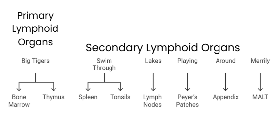 Mnemonics: Human Health & Diseases | Biology Class 12 - NEET