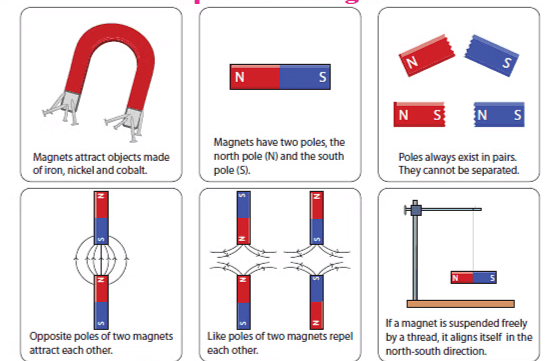 Unit Test(Solutions): Exploring Magnets | Science for Class 6