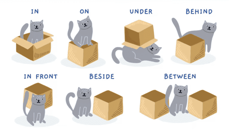 Prepositions | English Language & Comprehension for SSC CGL