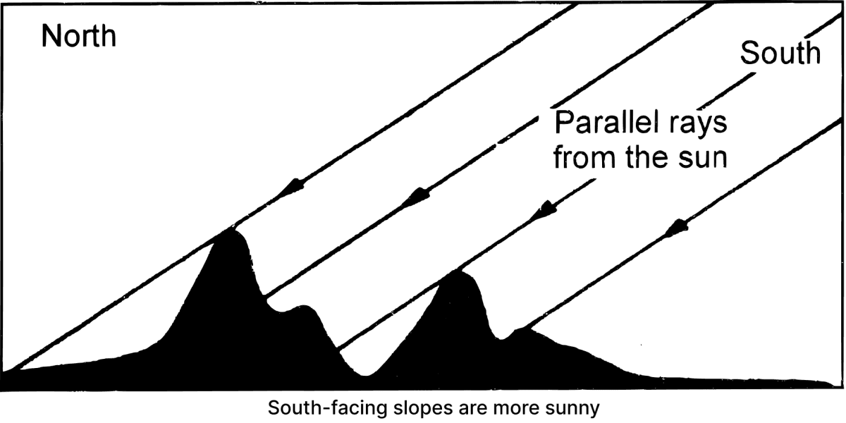 Answer the following questions briefly