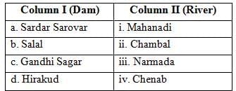 Class 10 Social Science Previous Year Questions - Water Resources