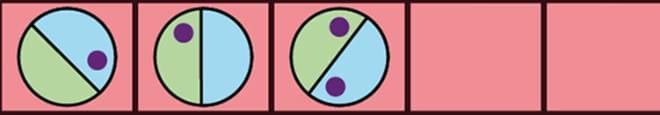 Important Questions: Shapes and Patterns | Mathematics (Maths Mela) Class 5 - New NCERT