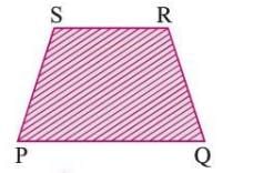 Triangles and Quadrilaterals Chapter Notes | Mathematics Class 6 ICSE