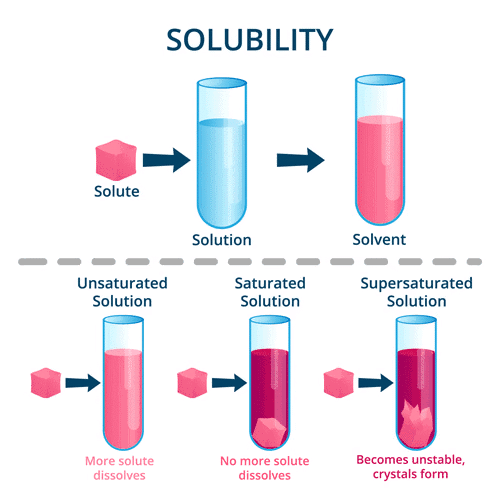 Important Points: Nature of Matter: Elements, Compounds, and Mixtures | Science Curiosity Class 8 -  New NCERT