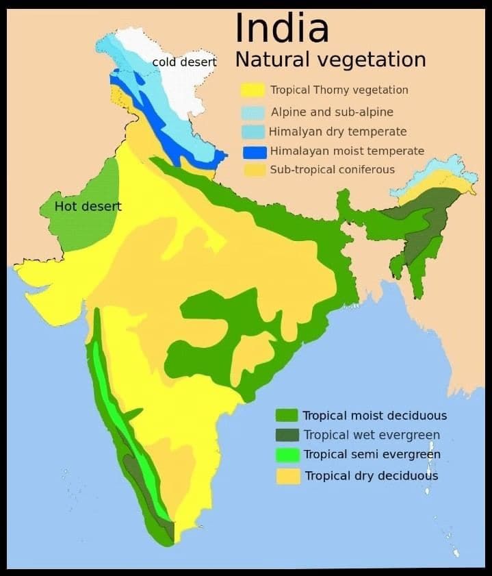 Class 9 Geography Chapter 5 Notes - Natural Vegetation and Wildlife