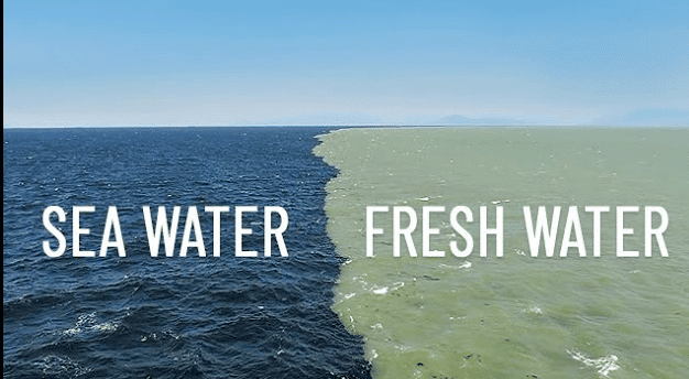 Worksheet: Oceans and Continents | Social Studies (SST) Class 6