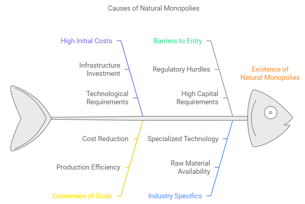 Forms Of Market Class 12 Economics