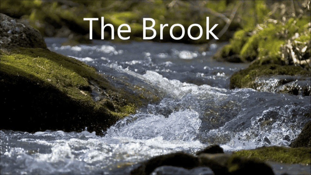 The Brook Summary Class 9 English