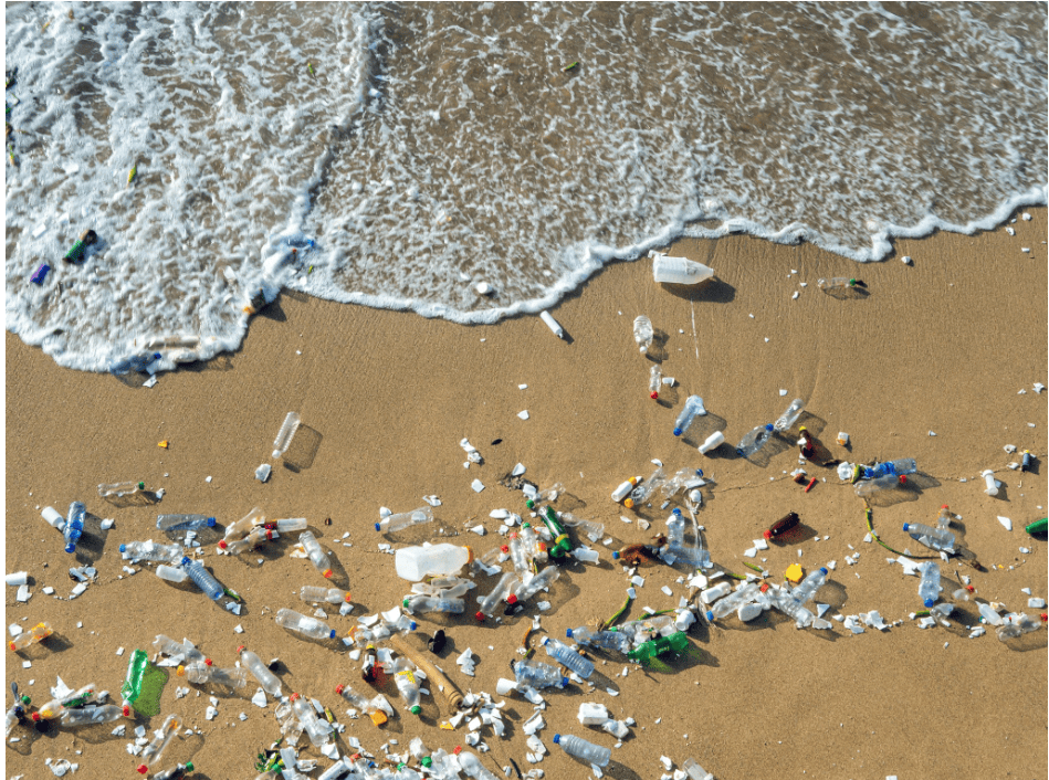 Notes: Pollution | Science Olympiad for Class 5