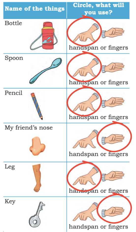 Lina`s Family (Measurement) Class 1 Notes Maths