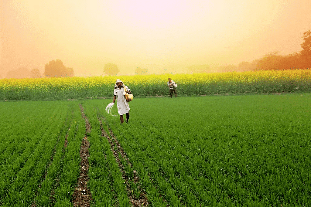 Crops & their Safety | Advance Learner Course: Science Class 4