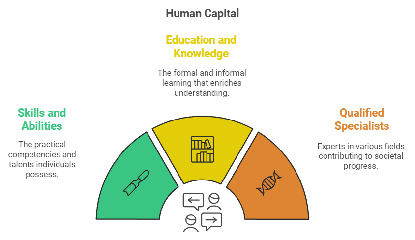 Human Capital Formation in India Class 12 Economics