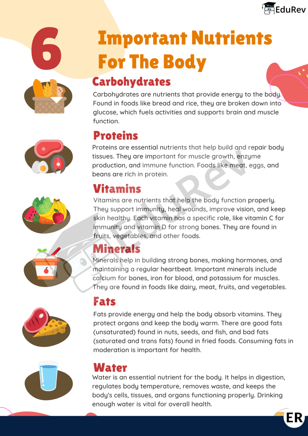 Learn at a Glance: Important Nutrients for the Body | Science Class 5