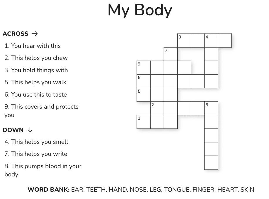 Our Body Class 1 Notes EVS