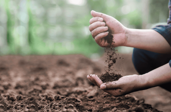 Soil Erosion and Conservation Class 5 Notes Science