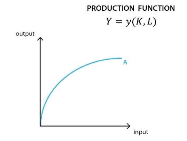 NCERT Solutions for Class 11 Economics - Production and Costs