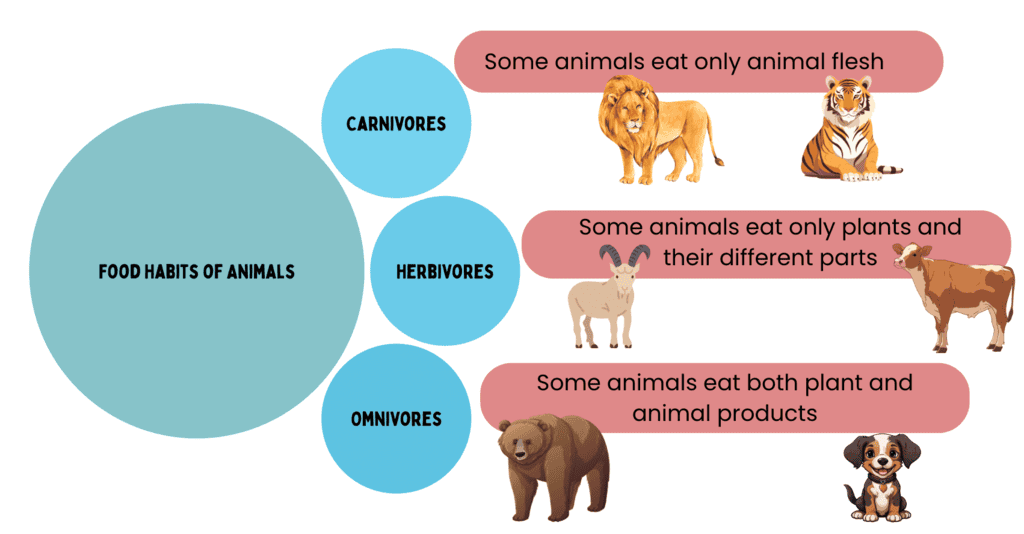 Animals- Food and Shelter Class 1 Notes EVS