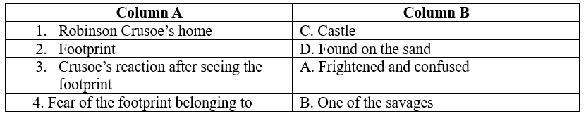 Robinson Crusoe Class 5 Worksheet English Marigold