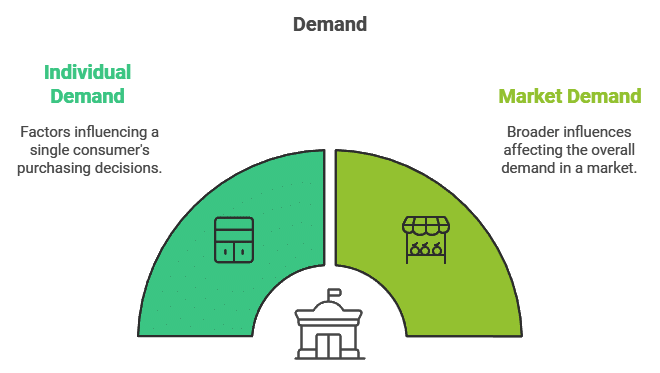 Theory Of Demand (Theory of Consumer Behaviour) Class 12 Economics