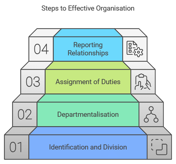 Organising Chapter Notes | Business Studies (BST) Class 12 - Commerce