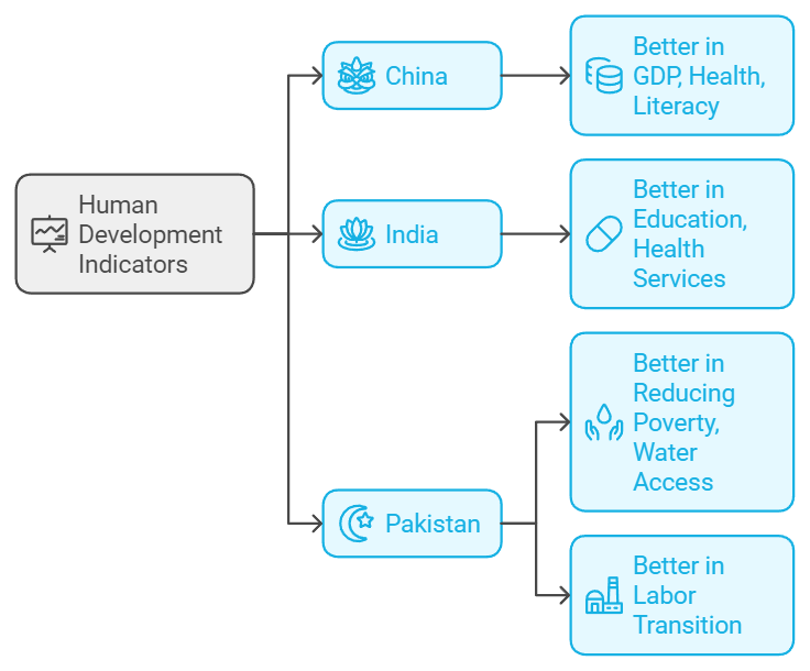 Comparative Development Experiences of India and its Neighbours Class 12 Economics