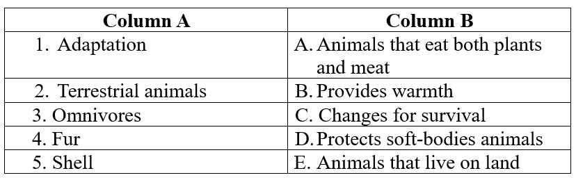 Class 5 Science - Animal Life - CBSE Worksheets Solutions - 1
